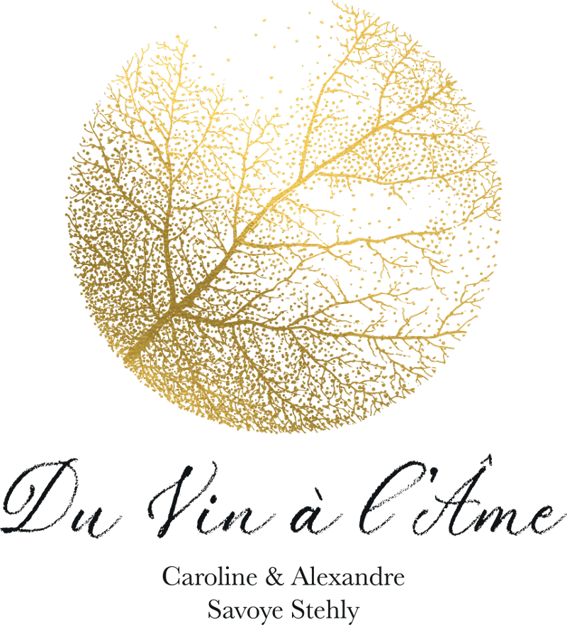 Logo Du Vin à l’Âme